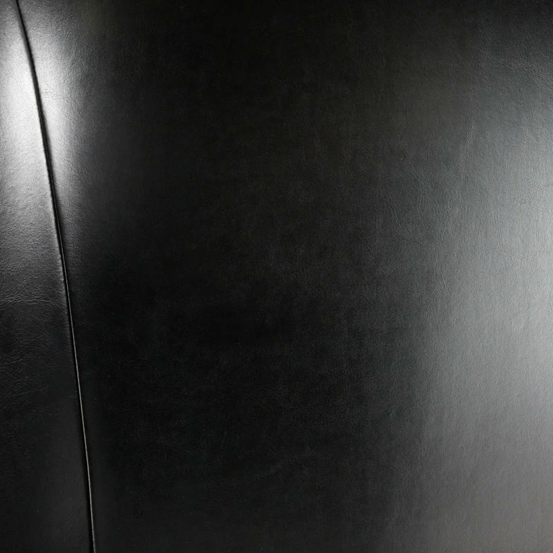 Best Sale 🎉 GDFStudio GDF Studio Jameson Tall Wingback Leather Club Chair, Black 😉 4 Best Sale 🎉 GDFStudio GDF Studio Jameson Tall Wingback Leather Club Chair, Black 😉 - Image 4