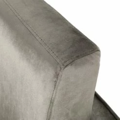 Cheapest 🎉 GDFStudio Kerman Modern Glam Velvet Club Chair, Gray/Silver ⭐ -Living Room Furniture Shop d941ced90f906bbf 8681 w800 h800 b0 p0