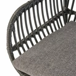 Discount 😍 GDFStudio Rodney Indoor Woven Faux Rattan Chairs With Cushions, Set Of 2, Gray, Dark Gray 🎁 -Living Room Furniture Shop e6918f6901dcf9b8 2048 w800 h800 b0 p0